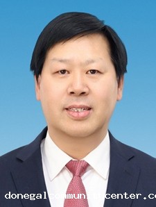 毛向阳